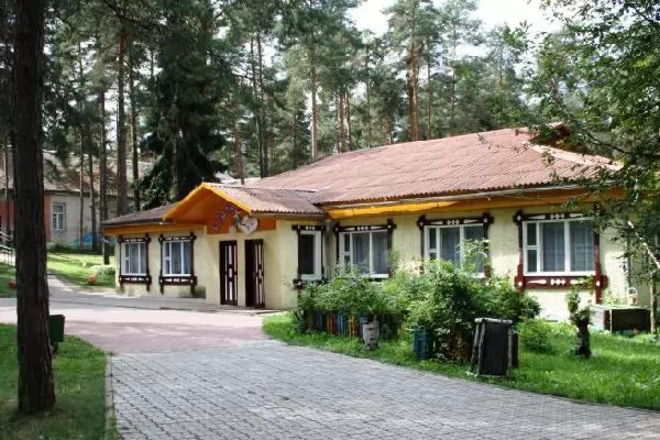 Трансфер Аэропорт Минск-2 - Санаторий Налибокская пуща