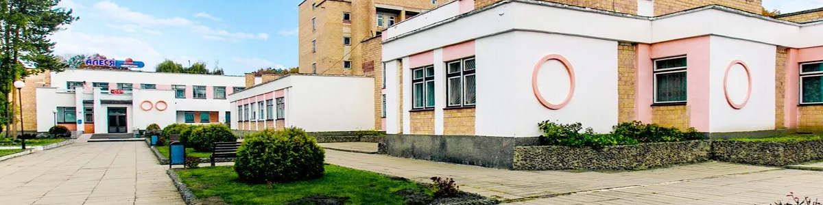 Ж/д вокзал Минск = Санаторий Алеся такси 