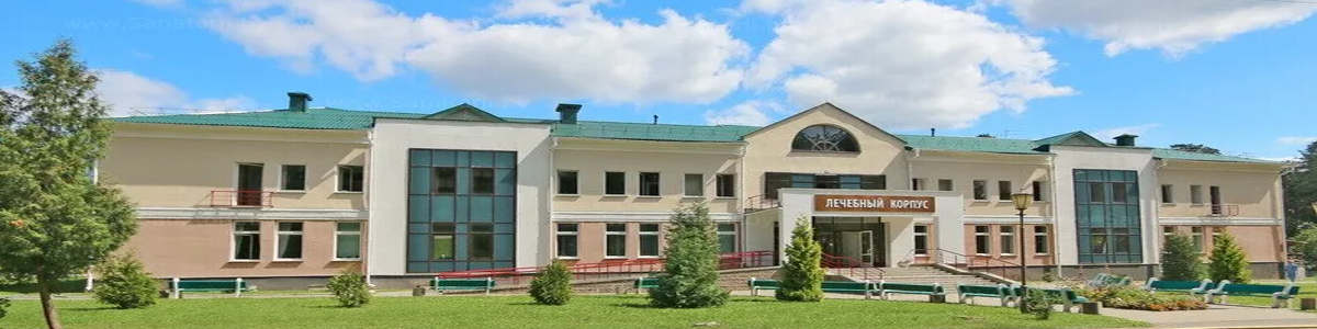 Аэропорт Минск-2 = Санаторий Березина (Борисов) такси 